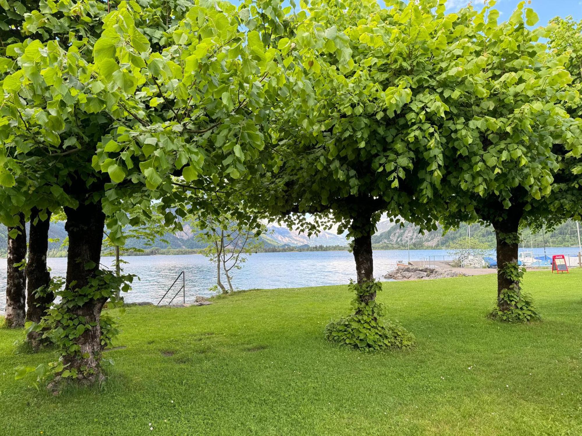 Family Room By Interlaken Parking Därligen Eksteriør billede